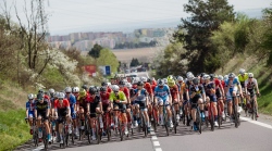 BrychtaJan_Velka_Bites_Brno_Velka_Bites_20240406_114537_850_9569.jpg