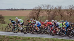 BrychtaJan_VelkaBites_Brno_VelkaBites_20230326_135615_DSC_0999.jpg